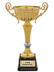 Custom Cricket Trophies