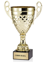 Custom Cricket Trophies