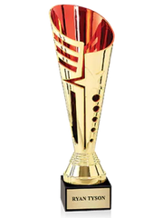 Custom Cricket Trophies