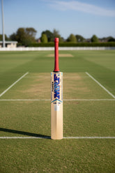 MRF POWER EW CRICKET BAT