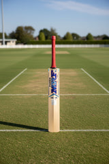 MRF POWER EW CRICKET BAT