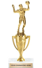 Custom Throwball Trophies