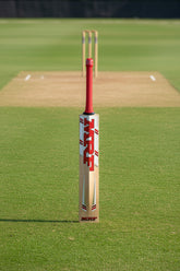 MRF VK18 300 EW CRICKET BAT