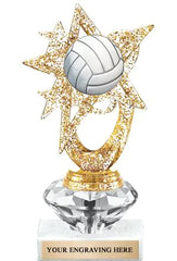 Custom Throwball Trophies