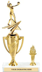 Custom Throwball Trophies