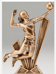 Custom Throwball Trophies