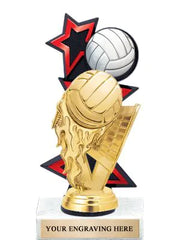 Custom Throwball Trophies