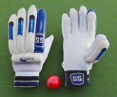 SS Academy Batting Gloves