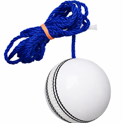 Cricket Hanging Ball