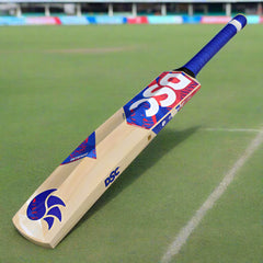 DSC Intense Crush Kashmir Willow Cricket Bat - 2025