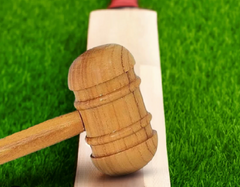 Cricket Bat Machine Knocking