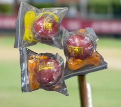 Cricket Hanging Ball