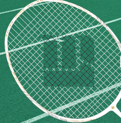 LingMei Carbon Nanotech TL 100 Racket