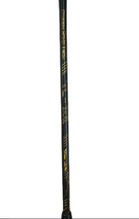 LingMei Carbon Nanotech TL 101 Racket