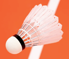 Victor NEW CARBONSONIC - NCS Pro