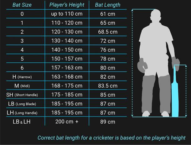 DSC Intense Crush Kashmir Willow Cricket Bat - 2025