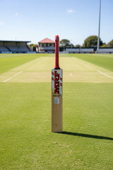 MRF VK18 300 EW CRICKET BAT