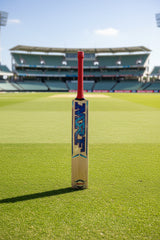 MRF POWER EW CRICKET BAT