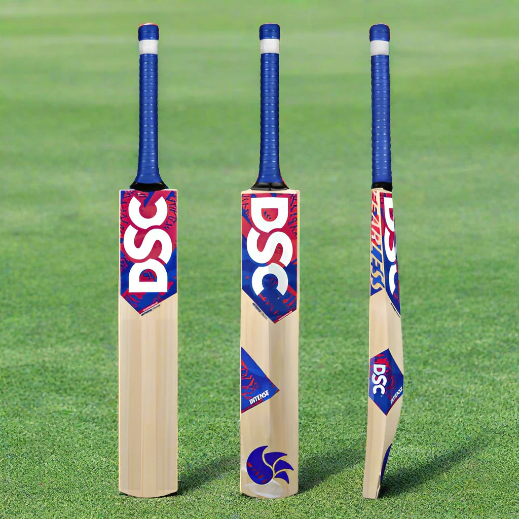 DSC Intense Crush Kashmir Willow Cricket Bat - 2025
